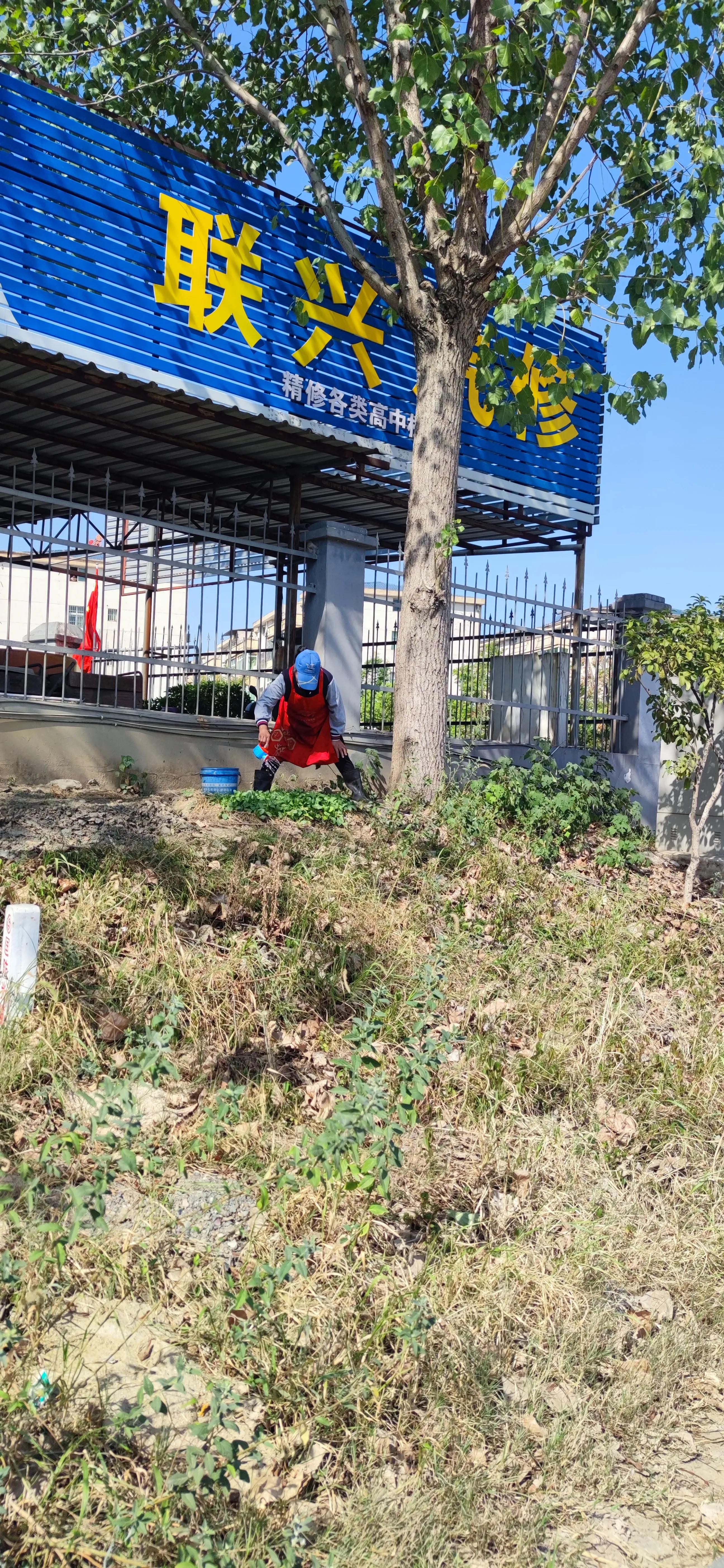 鎴戝彲鐖辩殑瀹朵埂鎶楀嚮鐤儏,鎶楀嚮鐤儏鎴戝彲鐖辩殑瀹朵埂