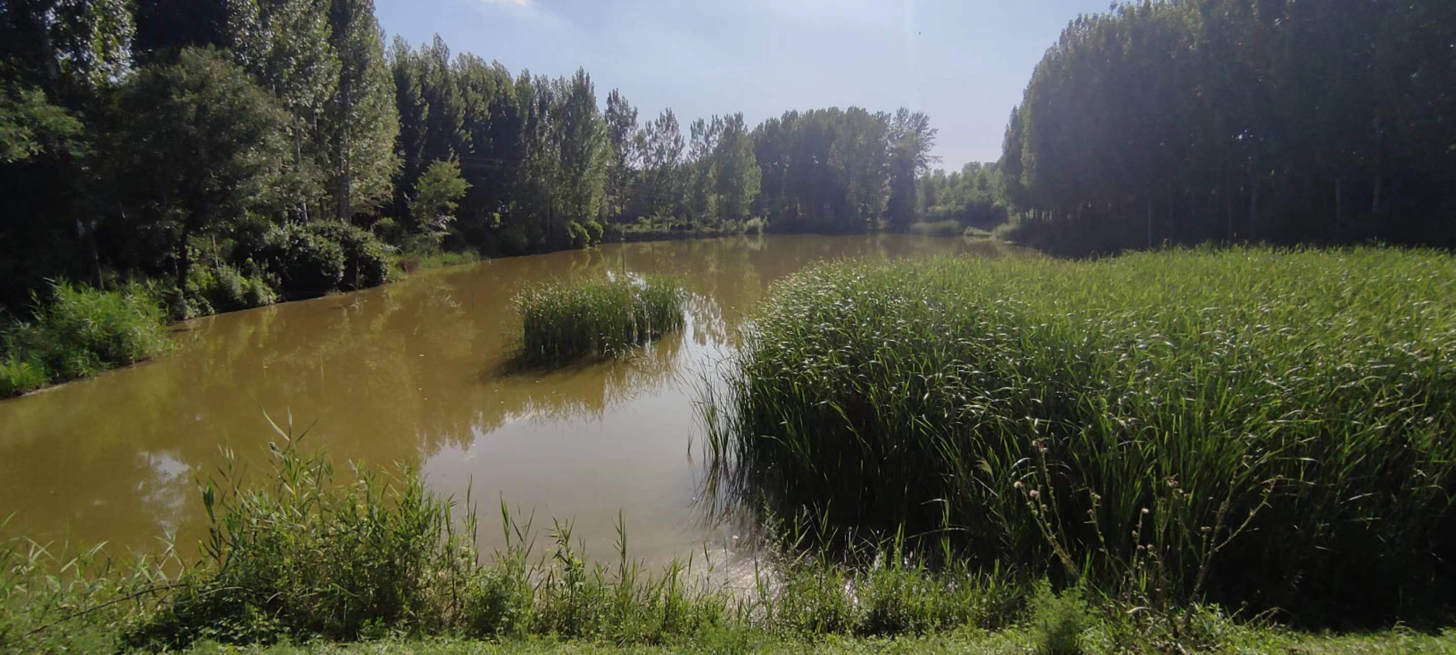 古中国考出彭蠡泽｜张笔魁