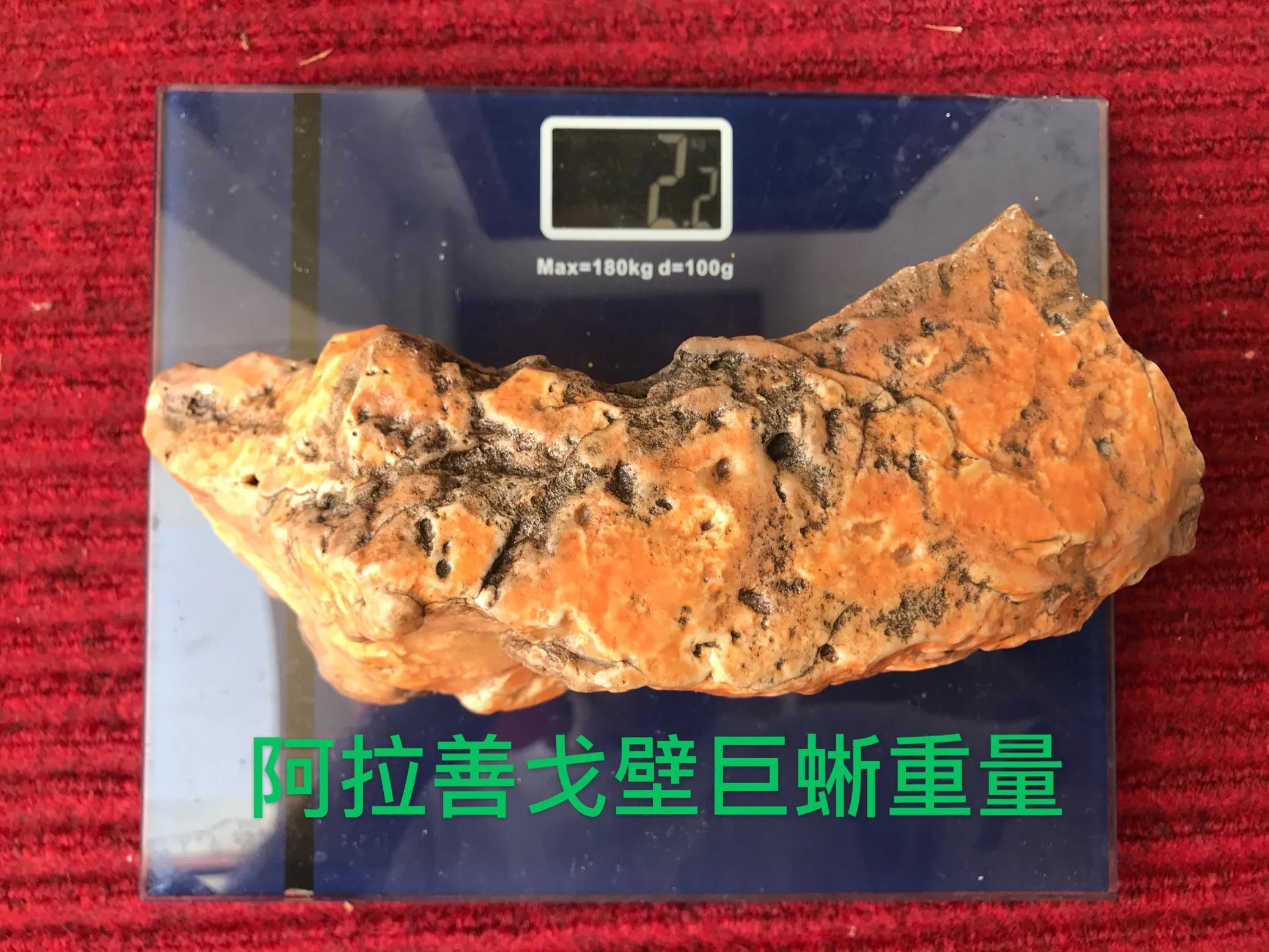 阿拉善捡戈壁石沙漠漆的具体位置,内蒙古阿拉善戈壁石