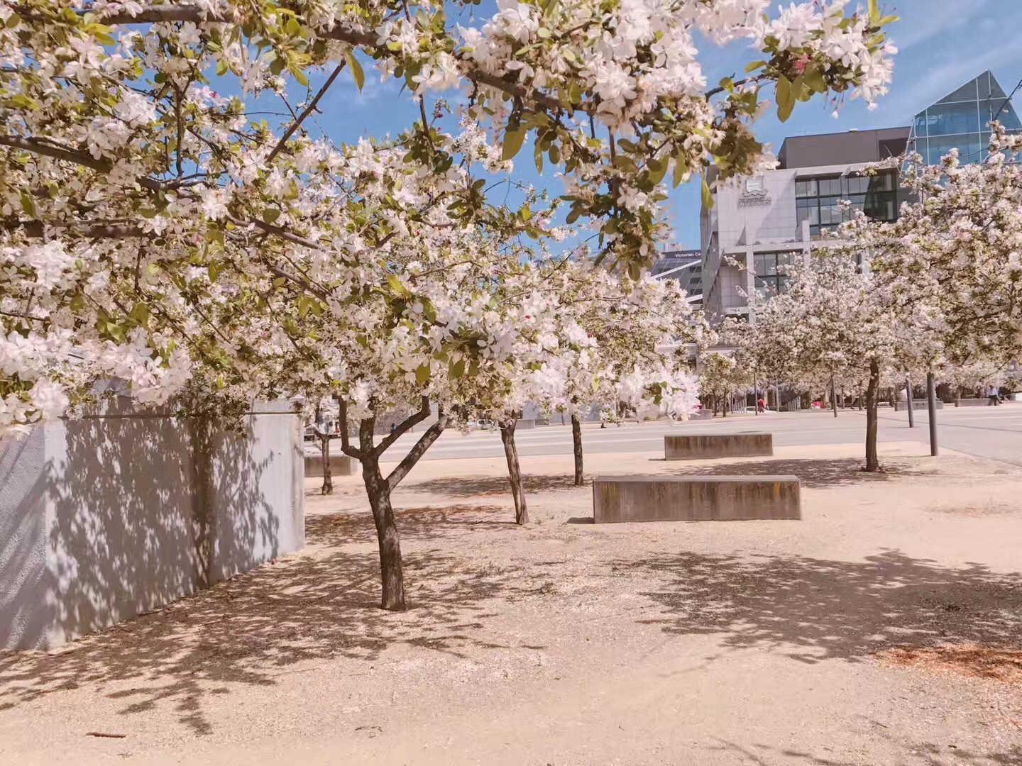 赴日本留学的费用,赴日留学可以带多少现金