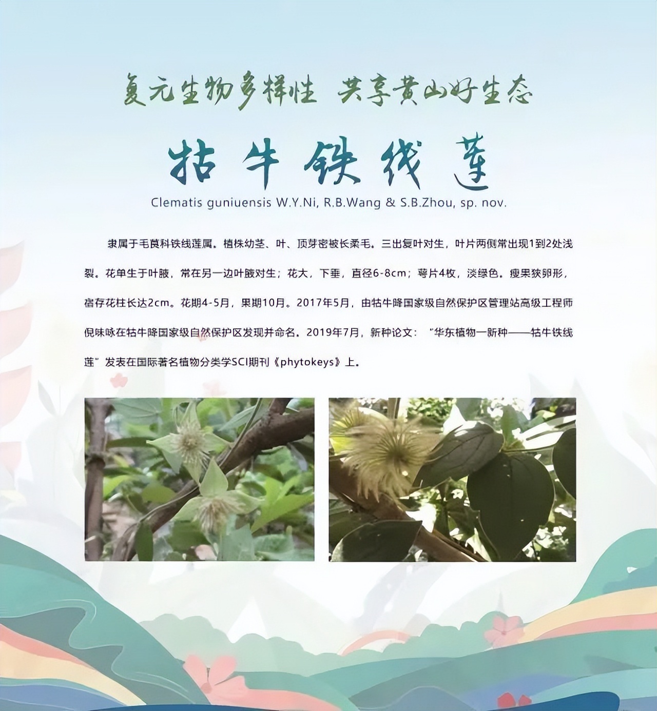 合肥二十种人气美食,合肥好吃的美食排行榜海鲜