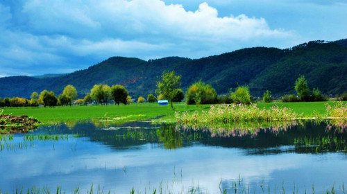 极美的十首夏景诗词,水摇扇影戏鱼惊柳梢残日弄微晴