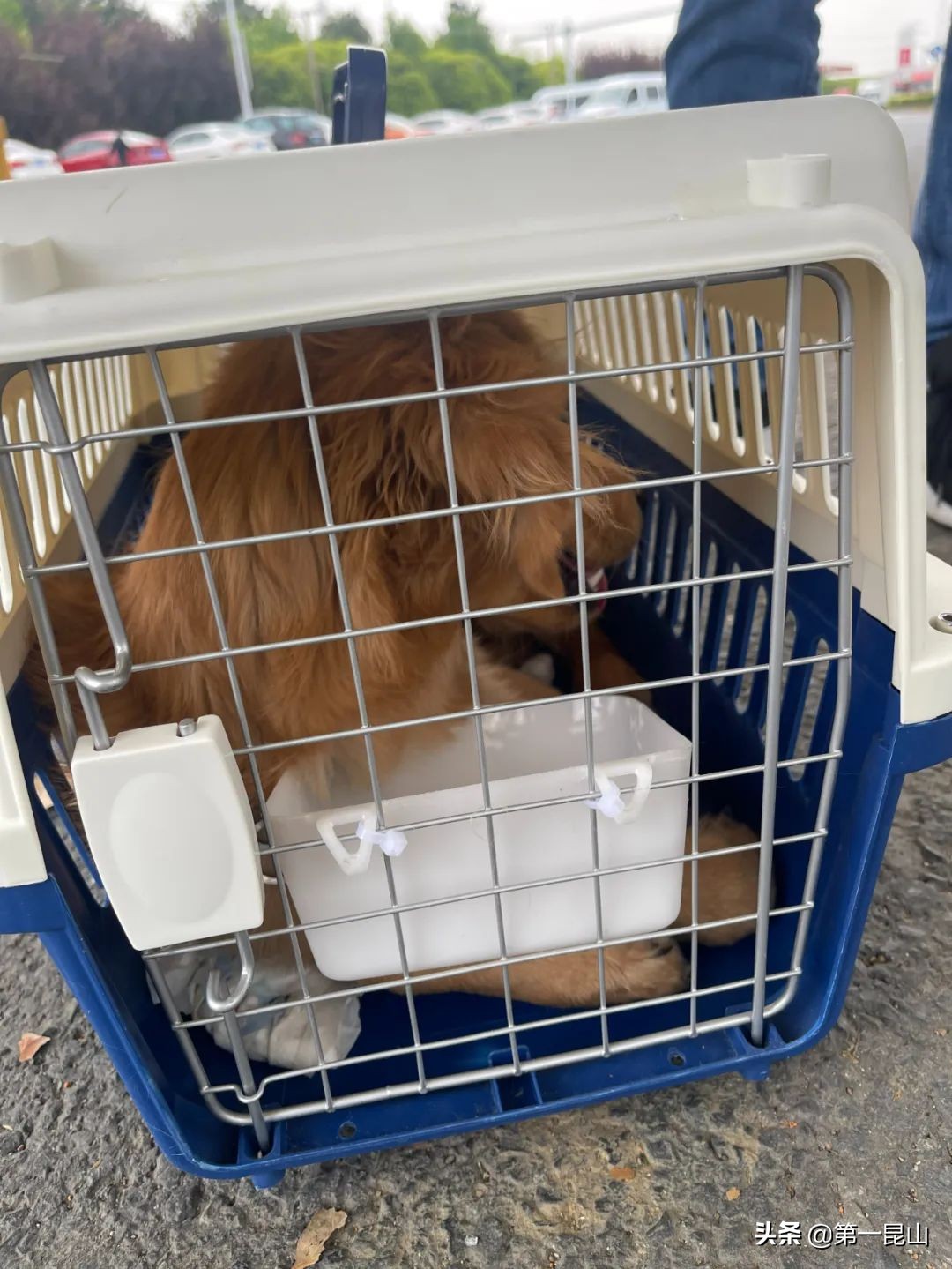 温暖的爱留给对方,温暖的爱送给爱你的人