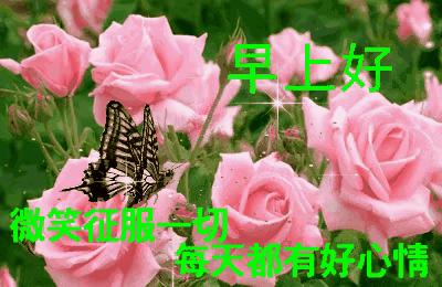 2023年农历是什么年癸卯年,农历2023年癸卯年正月结婚吉日