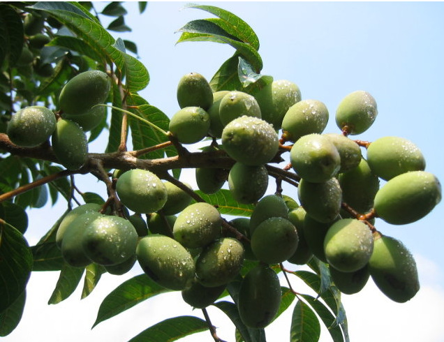 股市投资人必看,投资者必看的资讯