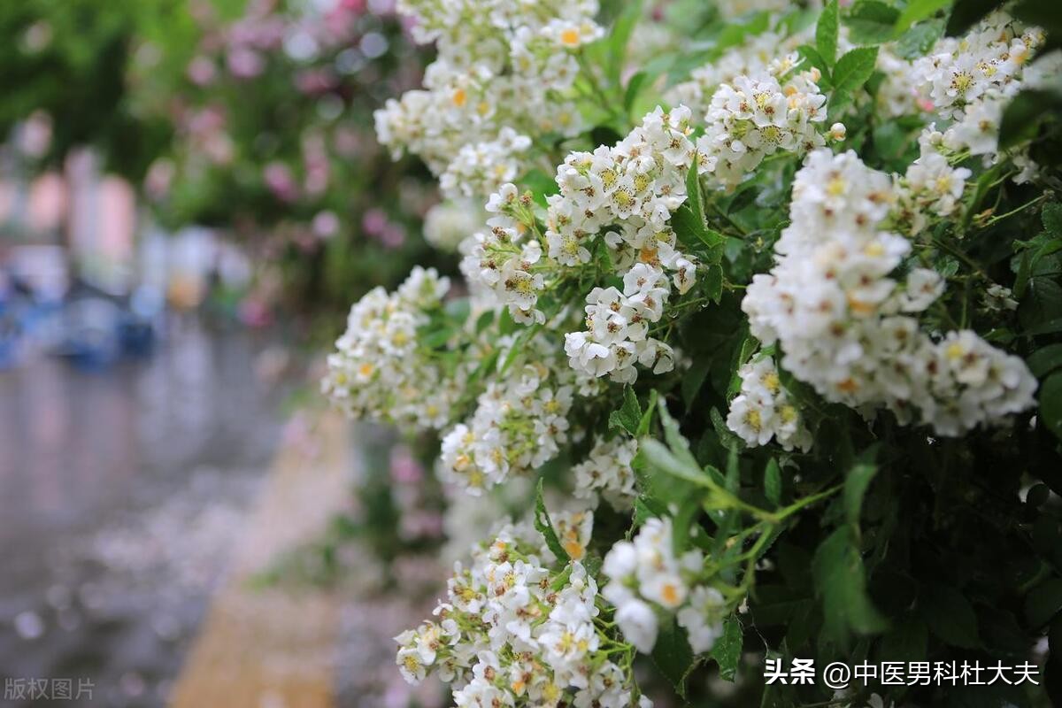 房劳虚损引起的问题,房劳透支引起四肢无力吗