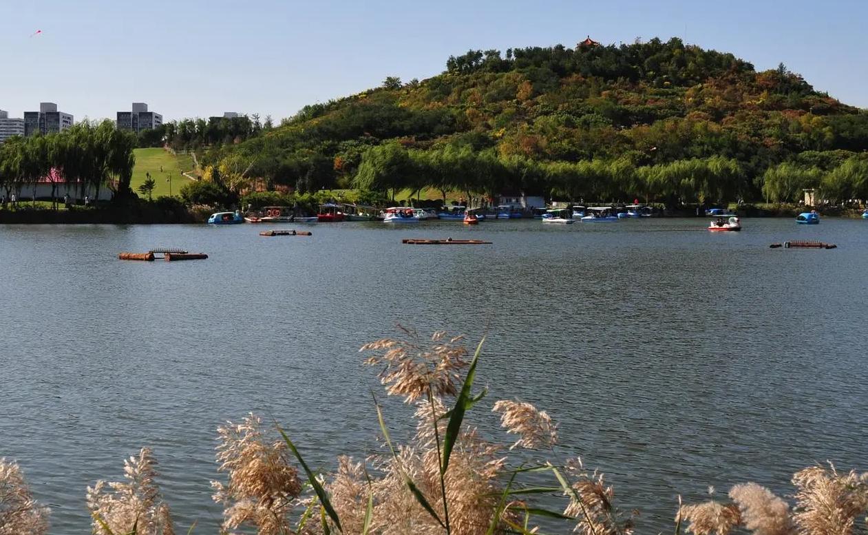 天津周边可生火的露营地,私藏天津小众露营地