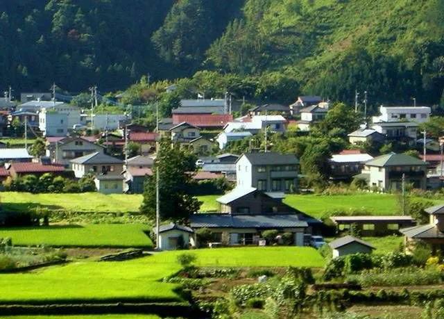 今后户籍政策会允许非转农吗,农转非户口有什么新政策