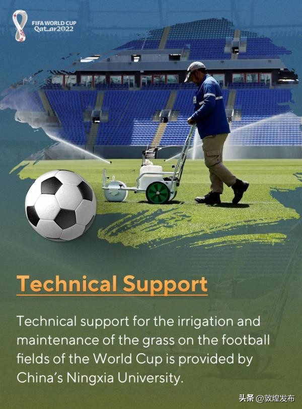 这届世界杯含“中”量有点高！从大熊猫到中国制造，能去的都去了！