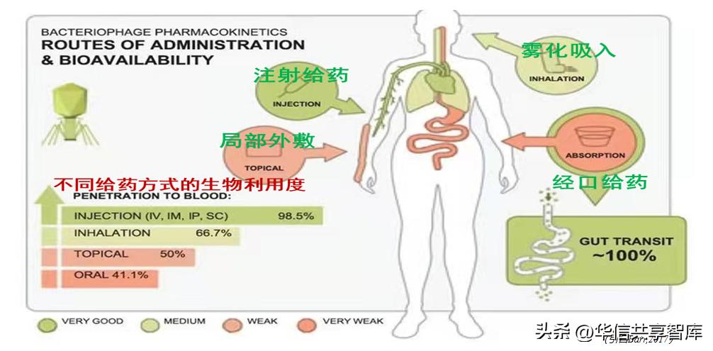 【听课笔记】王冉研究员：噬菌体的研究现状及应用前景