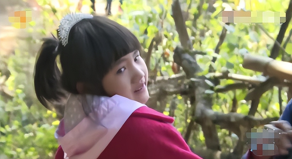 变形计大连妈妈完整版,变形计高考