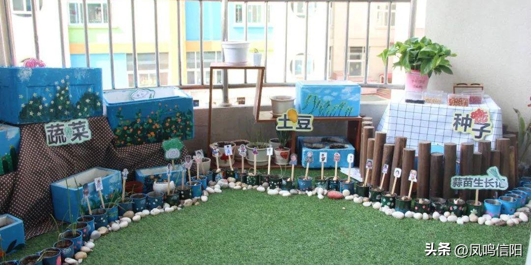 信阳市浉河区最好的幼儿园,我的最美校园