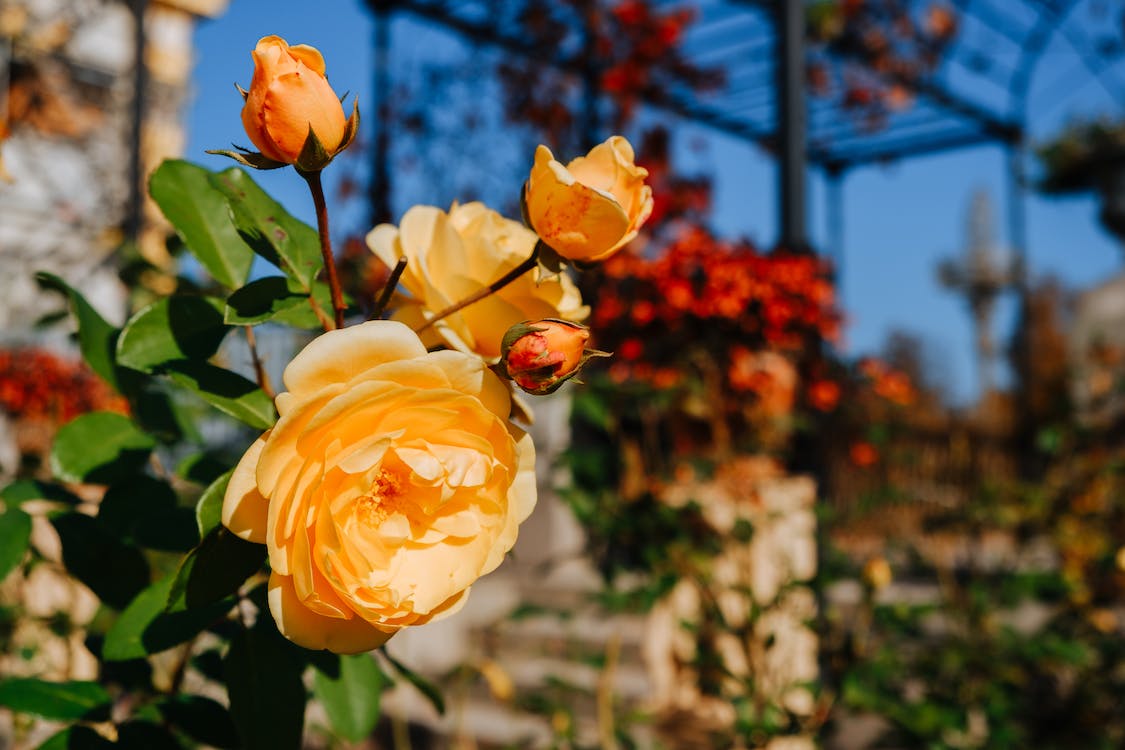 怎么搞定怕麻烦的男人,女人想要搞定优质男人用一个方法