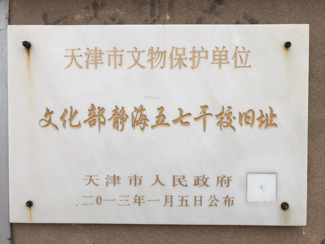 团泊洼,曾经有过一批中国顶级文艺球迷