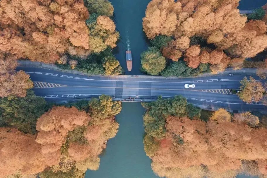 银杏谷泡温泉的地方,广东冬天赏银杏泡温泉