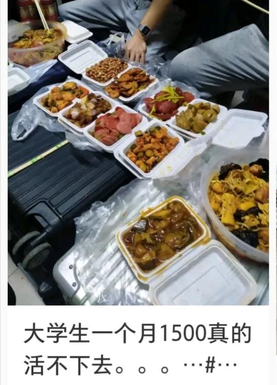 大学生每月1500生活费如何安排,大学生1500元生活费够了吗