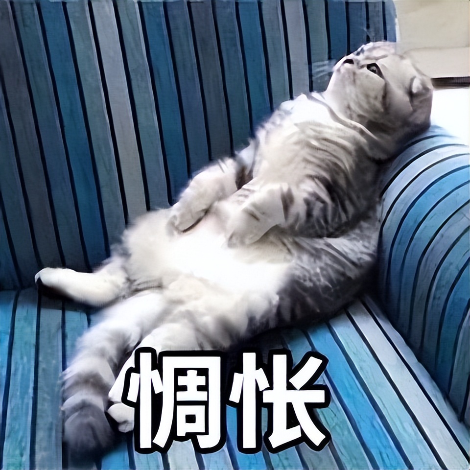 收藏小学英语高分笔记,英语学习资料收藏