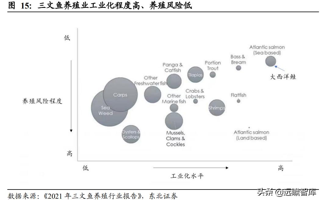 佳沃智利新三文鱼工厂,佳沃食品智利三文鱼