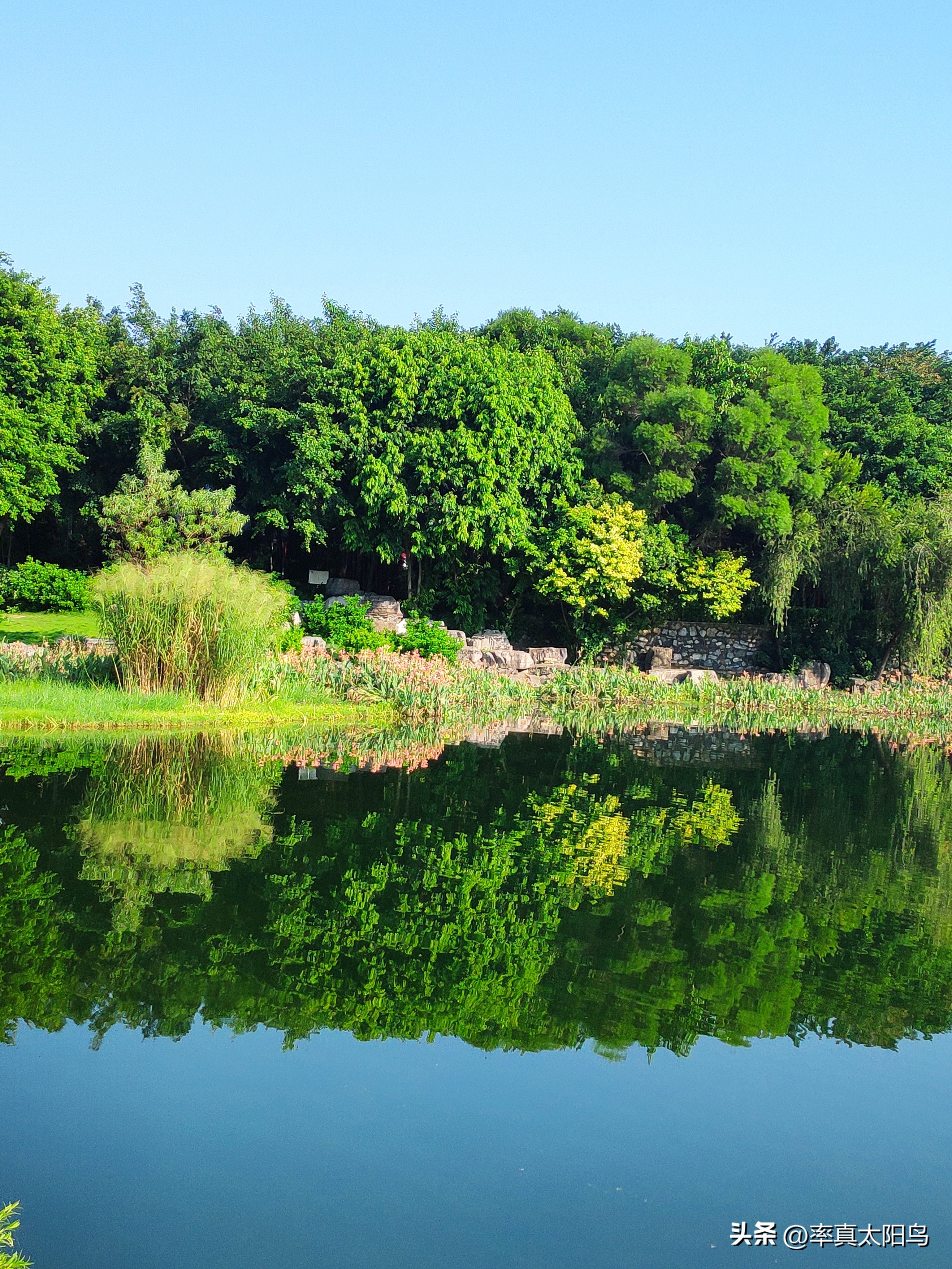 秋水之韵文章,秋水之韵抖音