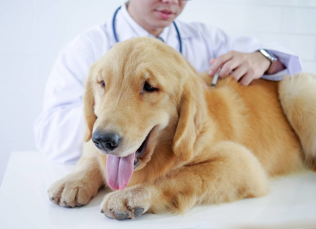 那些看似不起眼却能赚钱的小生意,不起眼小生意赚钱