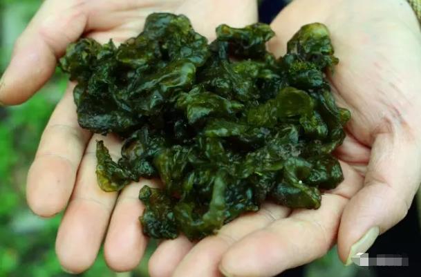 亚运美食食堂,2022亚运会菜肴