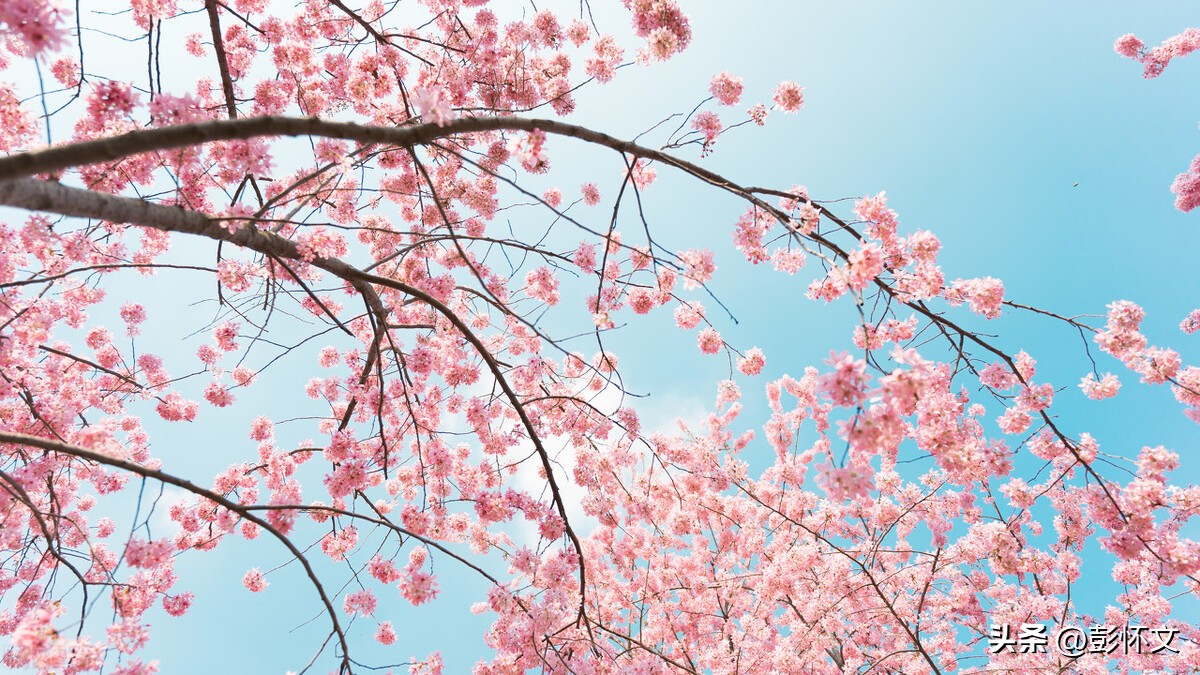 一般纳税人注销账面库存,一般纳税人注销最终库存如何处理