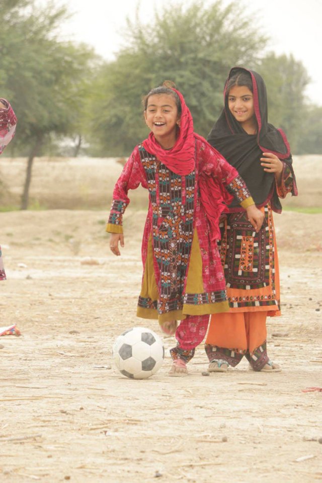 真实大象图片大全可爱,真实野生大象图片