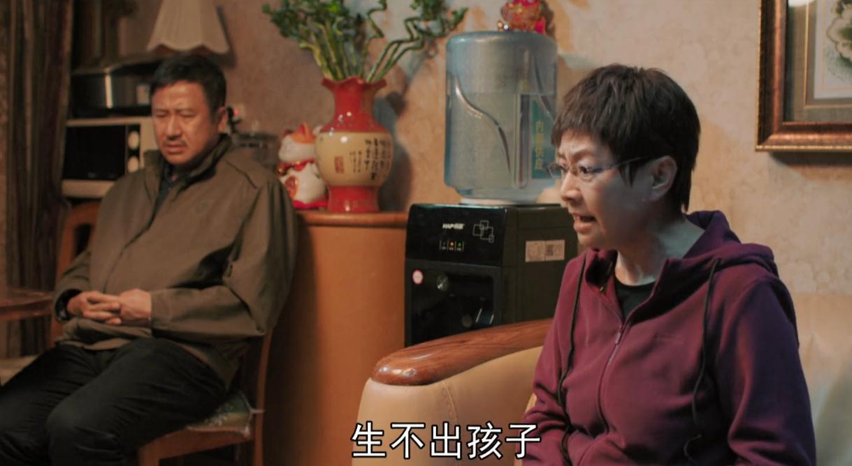 精彩的国产家庭剧推荐,最好看的8部家庭剧国产