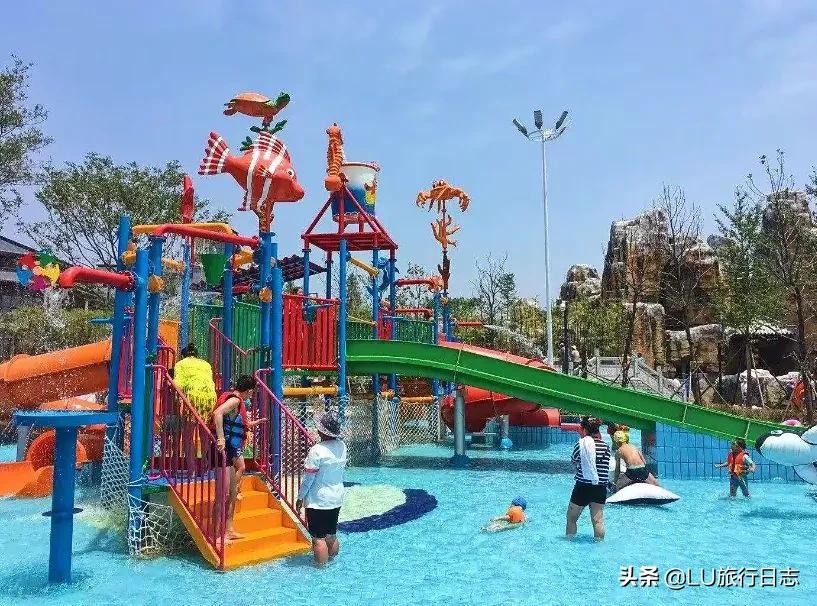 夏至|蝉鸣惊半夏，乐园极地纳清凉