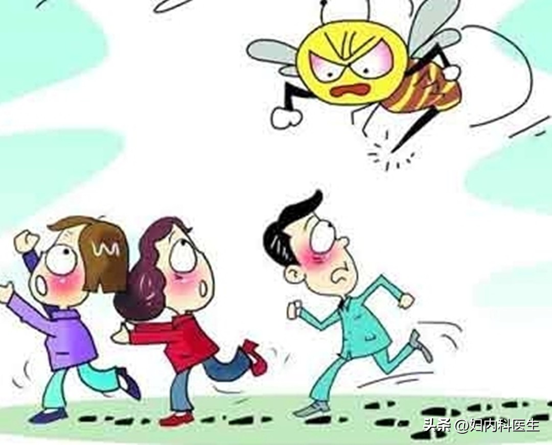 户外被蜂螫后该如何急救,被蜜蜂螫伤了怎么办