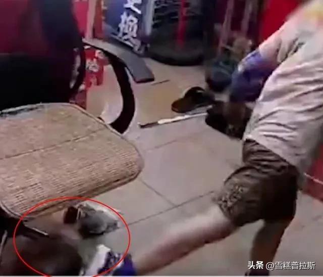 广州一小学多名学生遭校园欺凌,校园欺凌殴打真实案例