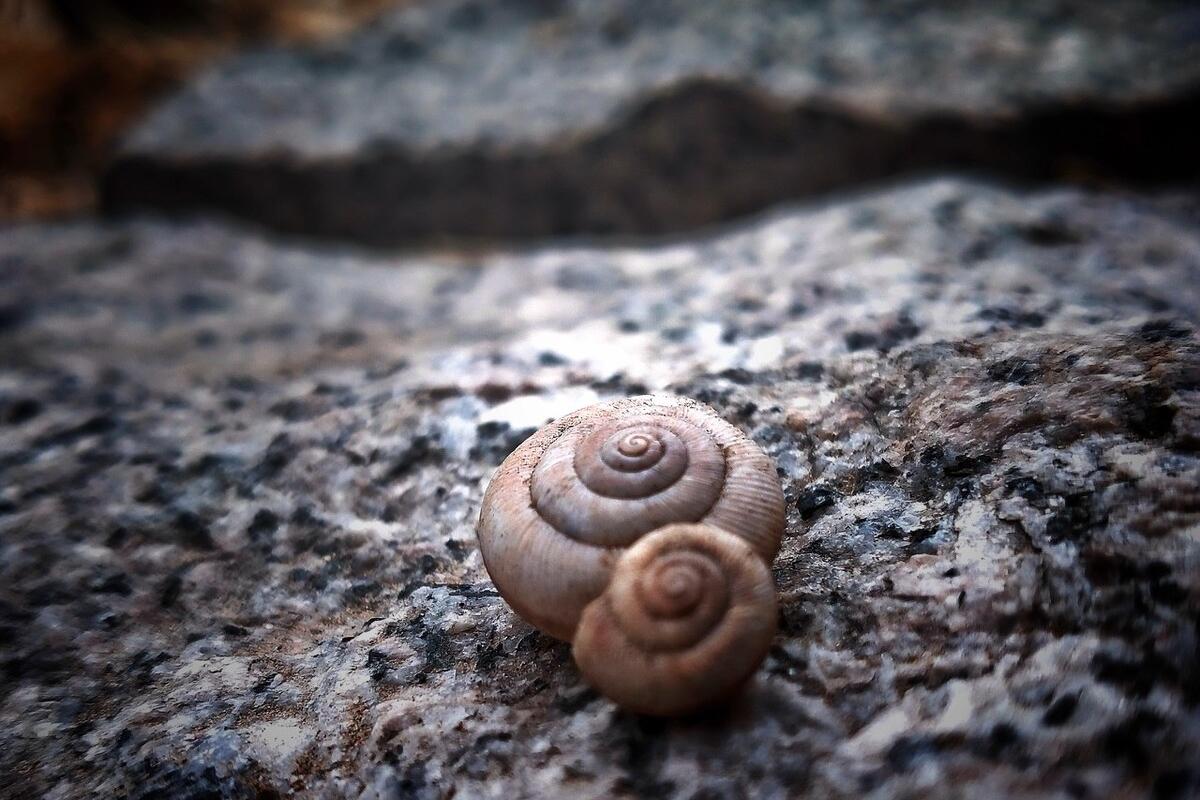 收到假包裹怎么投诉商家,收到假包裹