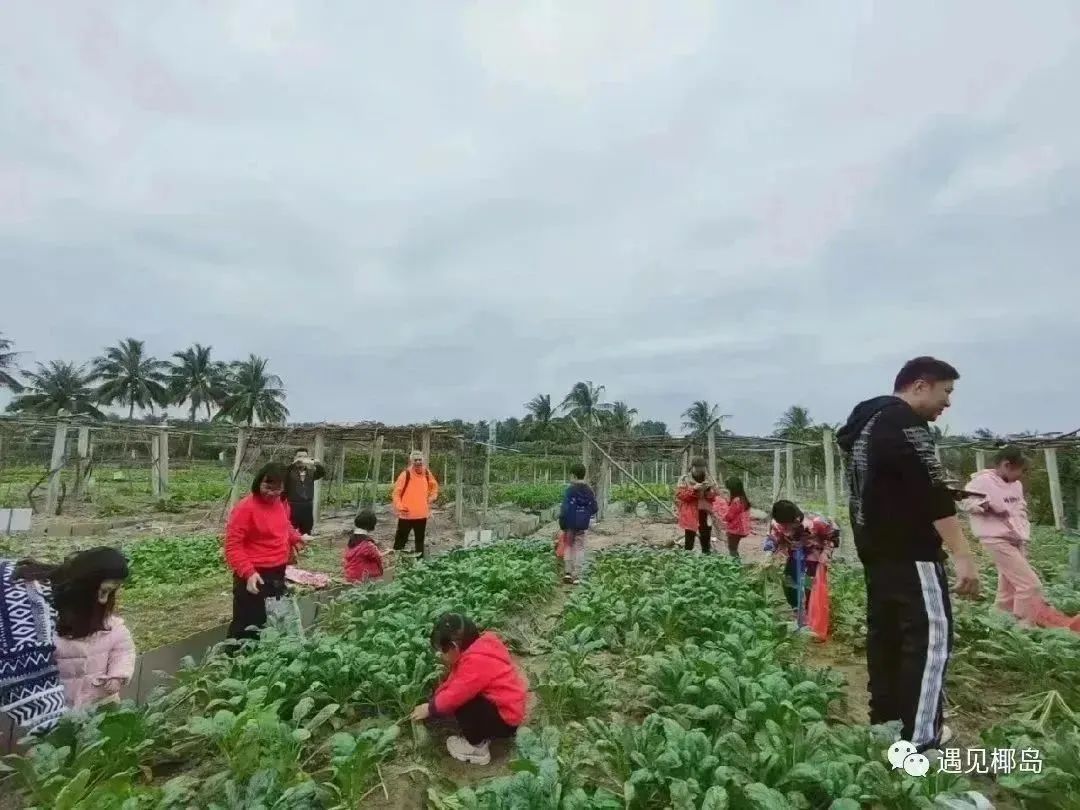 海南文昌适合亲子住的民宿,海南文昌民宿费用一览表