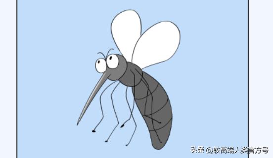 开灯蚊子就跑关灯蚊子就过来,一开灯就没蚊子一关灯蚊子全来了