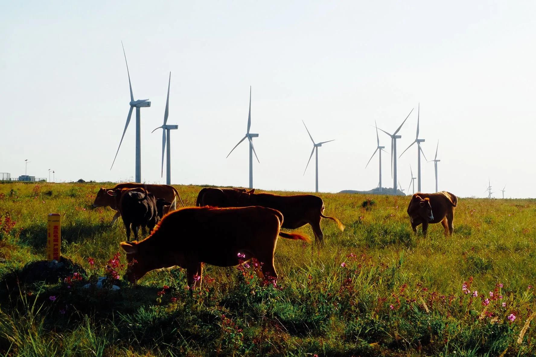 贵阳自驾徒步露营地推荐,贵阳周边露营徒步地推荐