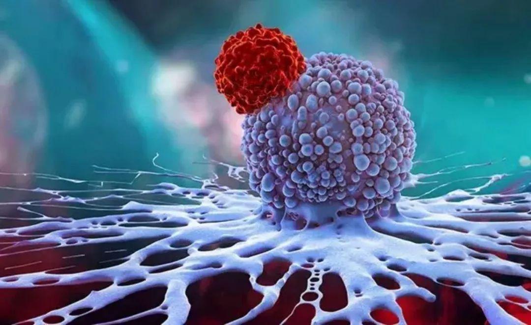 鸡蛋和牛肉是肿瘤发物吗,吃鸡肉和鸡蛋对癌症有影响吗