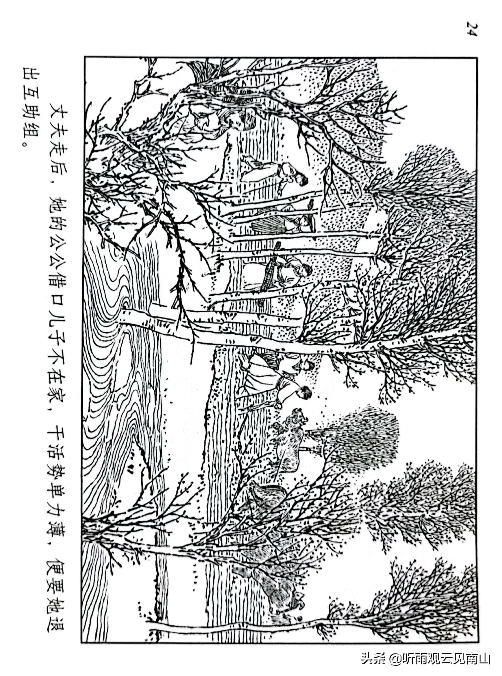 贺友直连环画100幅,贺友直连环画代表作品