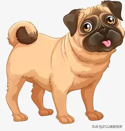 东北方言牛马,东北方言狗