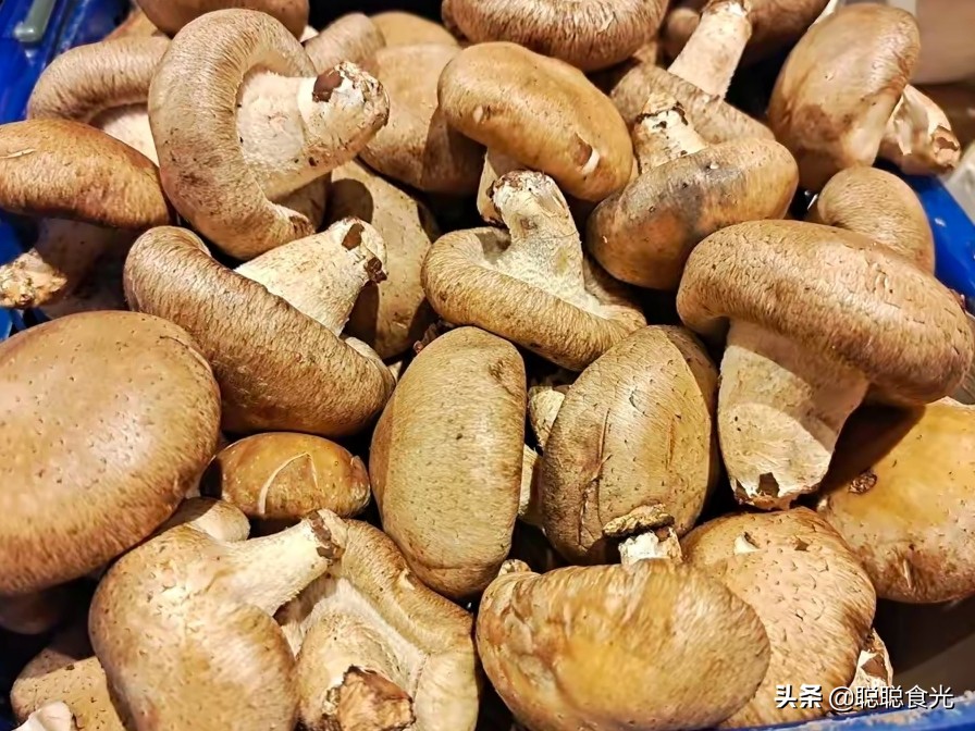 买香菇要注意哪些问题,买干香菇如何挑选