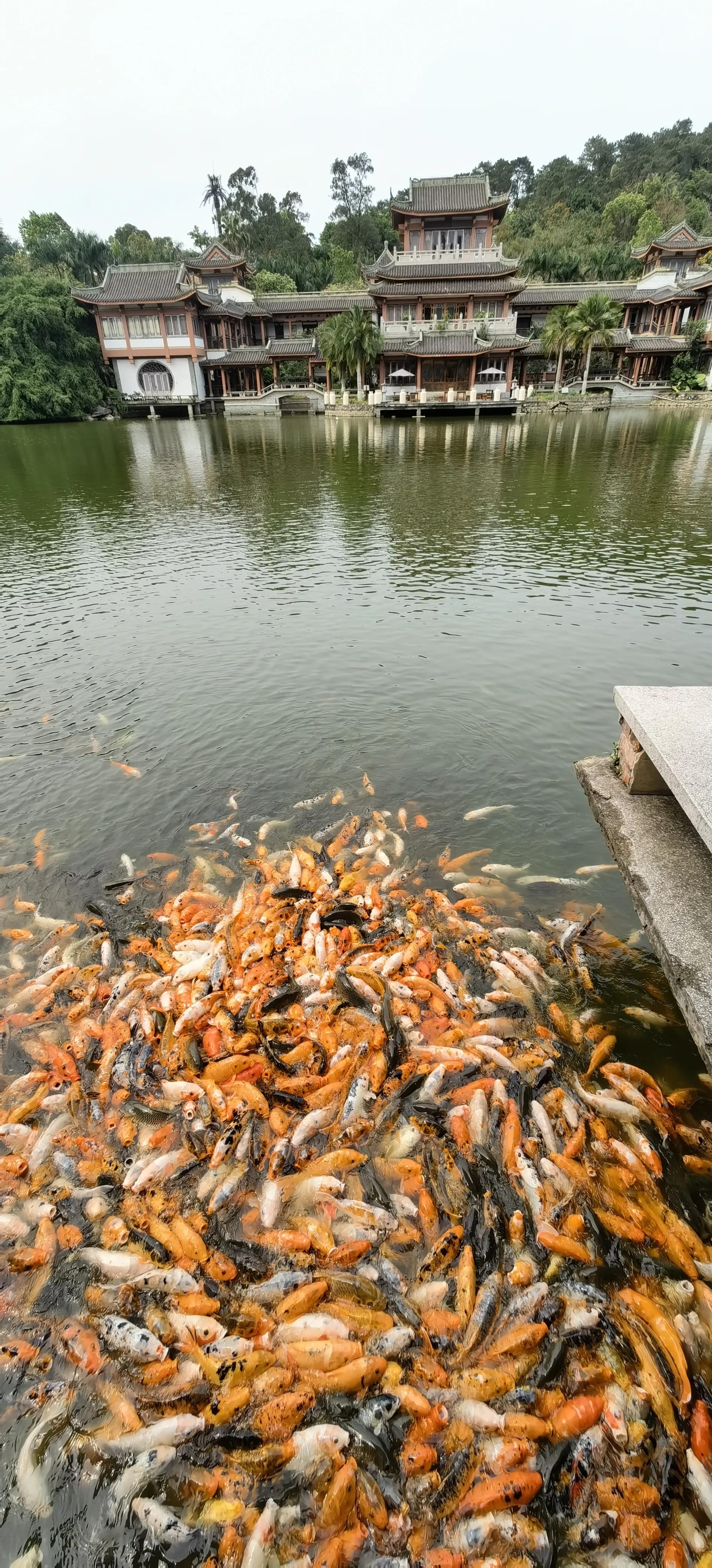 旅行日记记录一家人美好生活,旅行日记85天