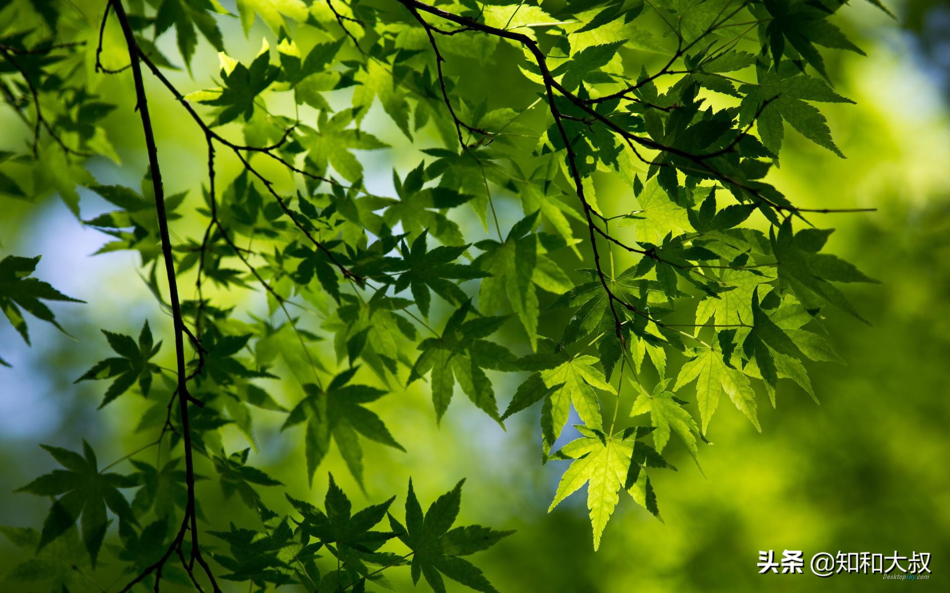 男人对你冷淡了你该怎么做,男人冷落了自己要去讨好他吗