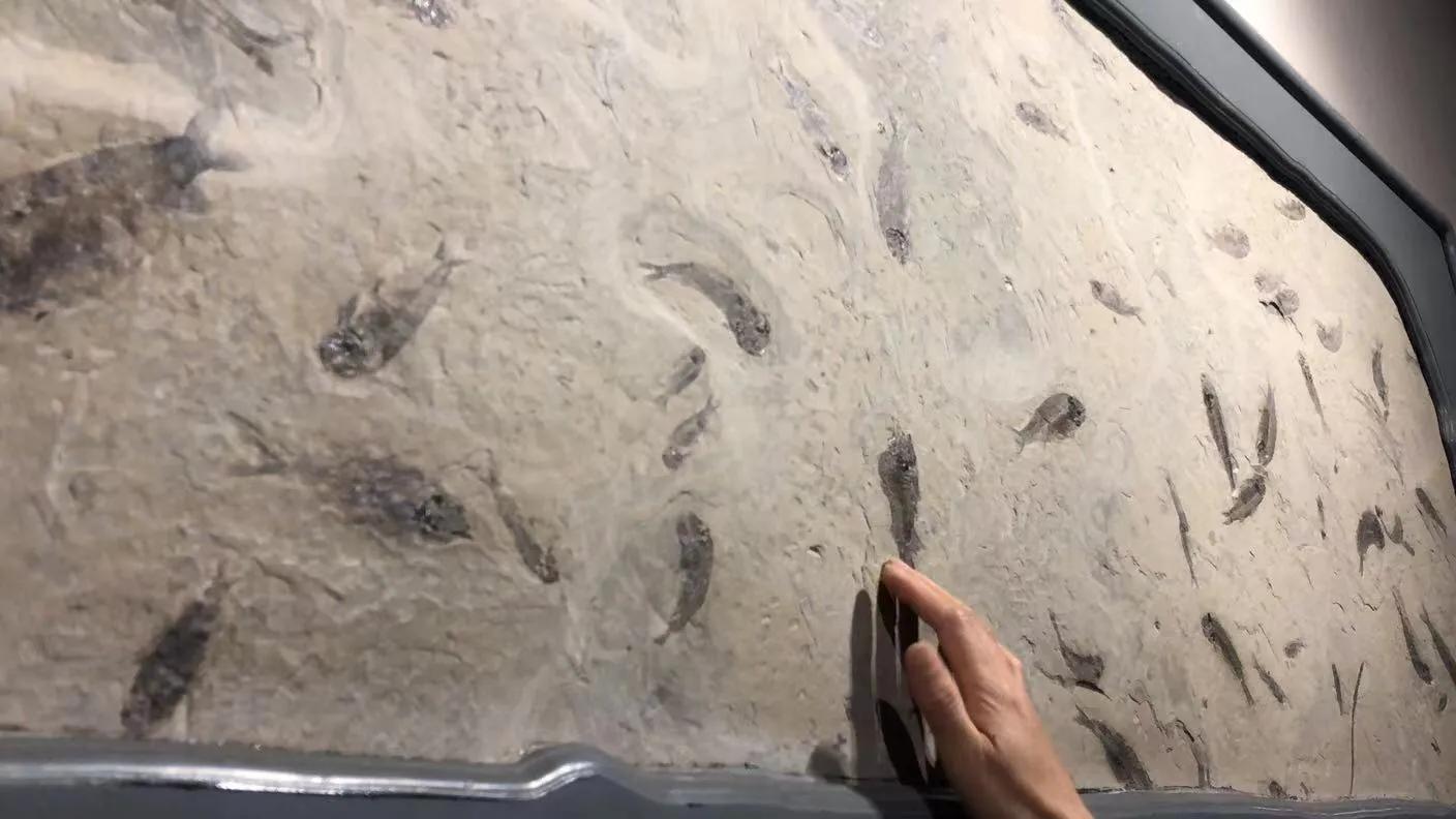 辽西自驾游一日游攻略,辽西自驾游一日游