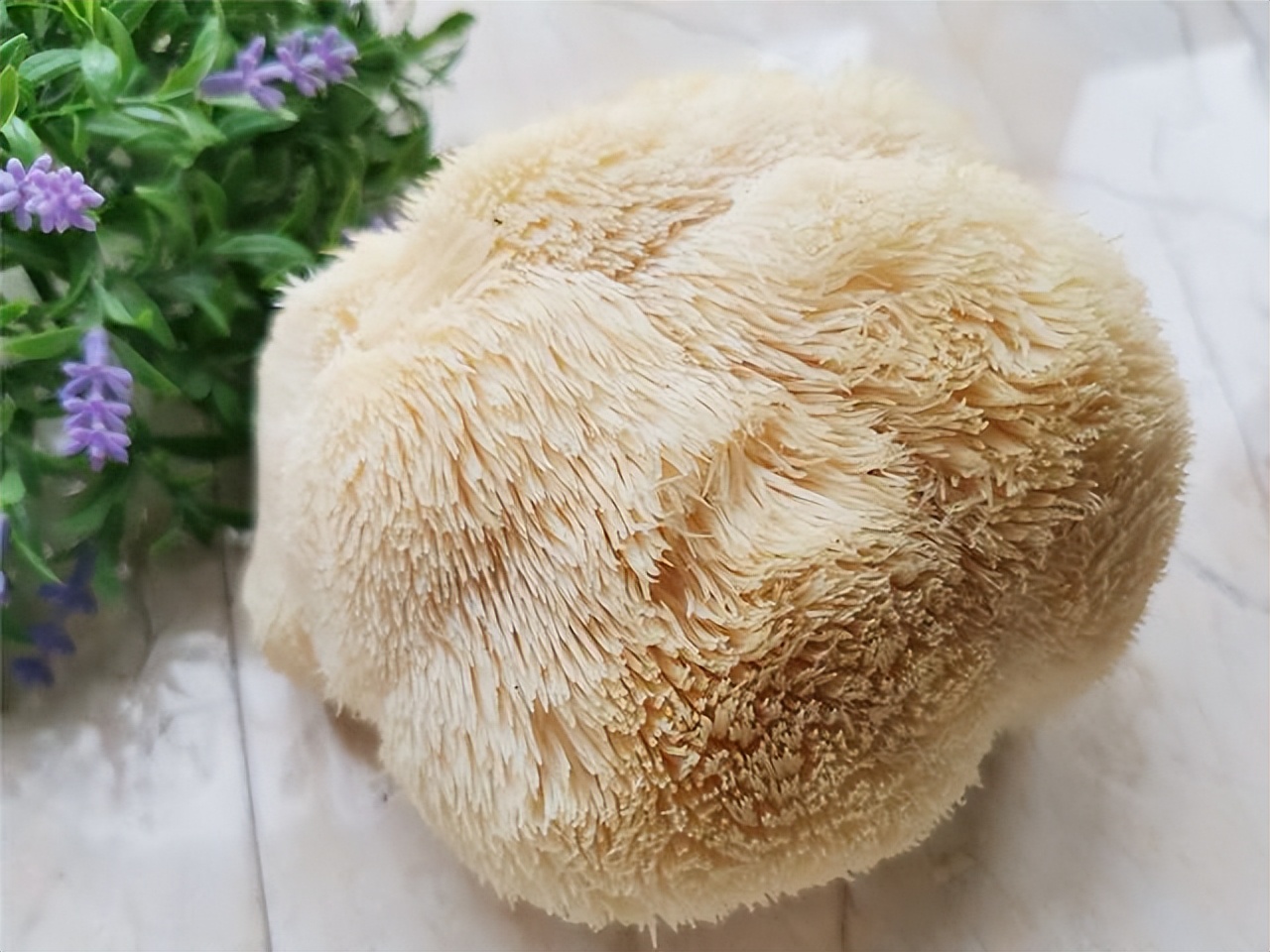 肠胃修复剂有效吗,肠胃功能修复器