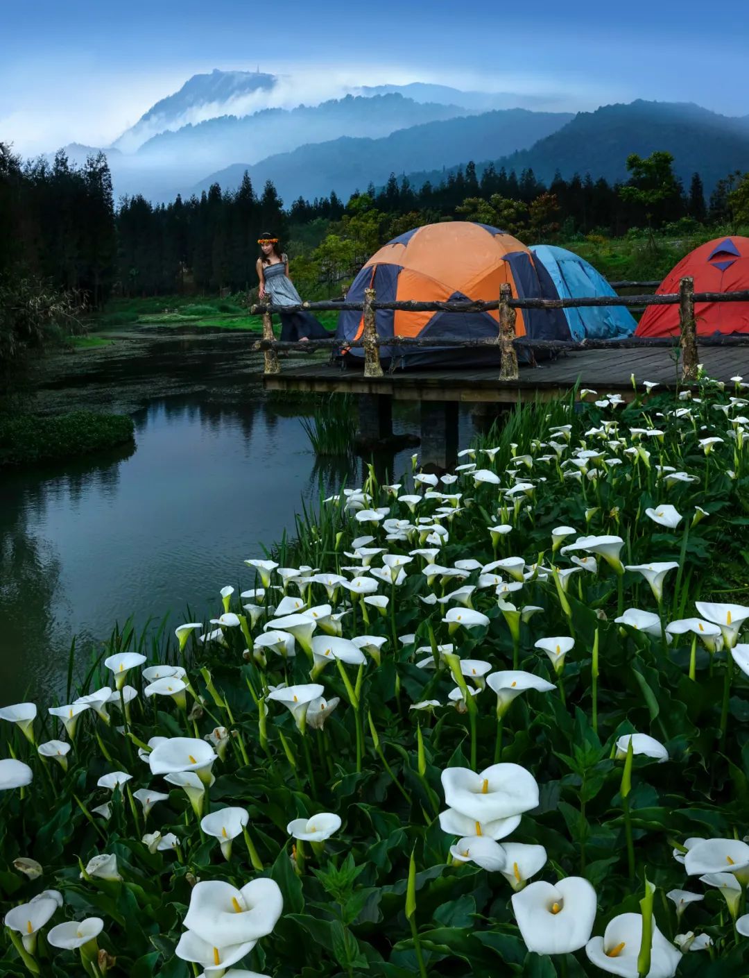 洪雅一个生你养你的地方,洪雅一个养你的地方