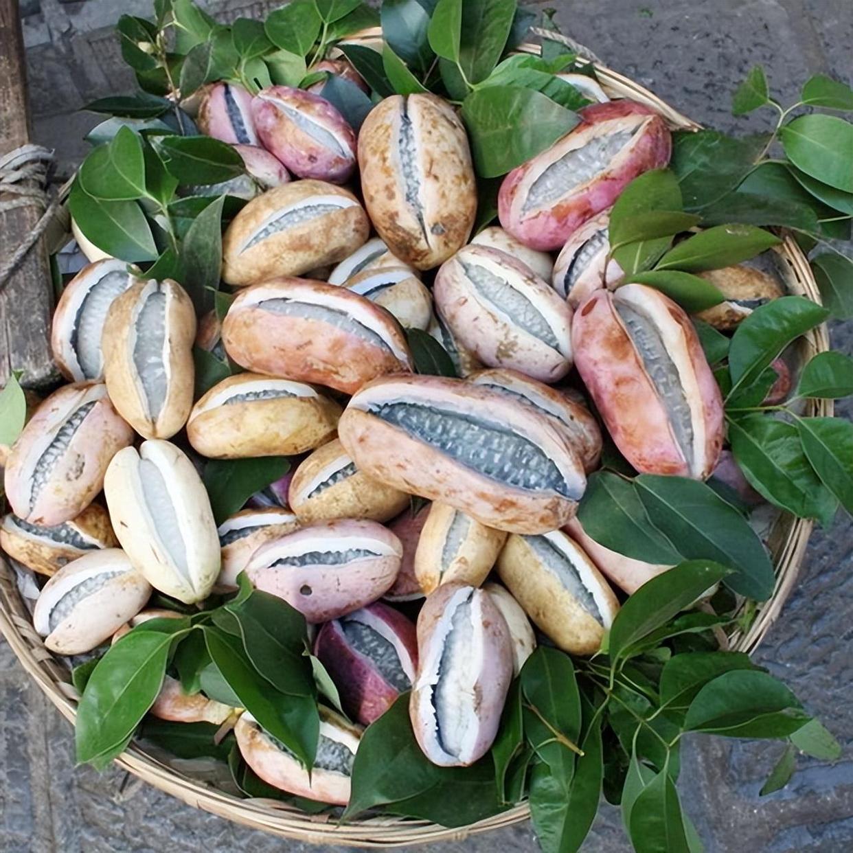 适合8月份吃的应季水果有哪些,每年4-6月份的应季水果有哪些推荐