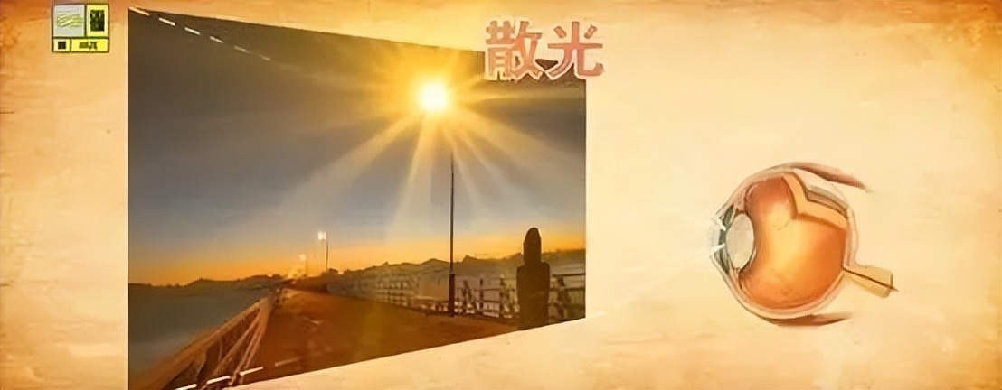 警惕四种致盲眼疾,中老年人要预防这些致盲性眼疾