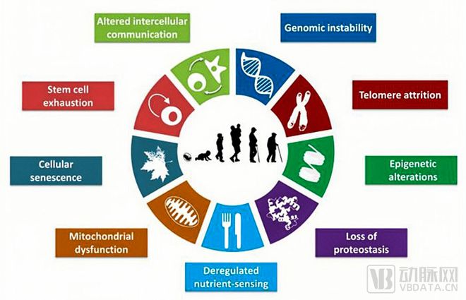 为什么天使轮融资最好,天使轮融资成功率