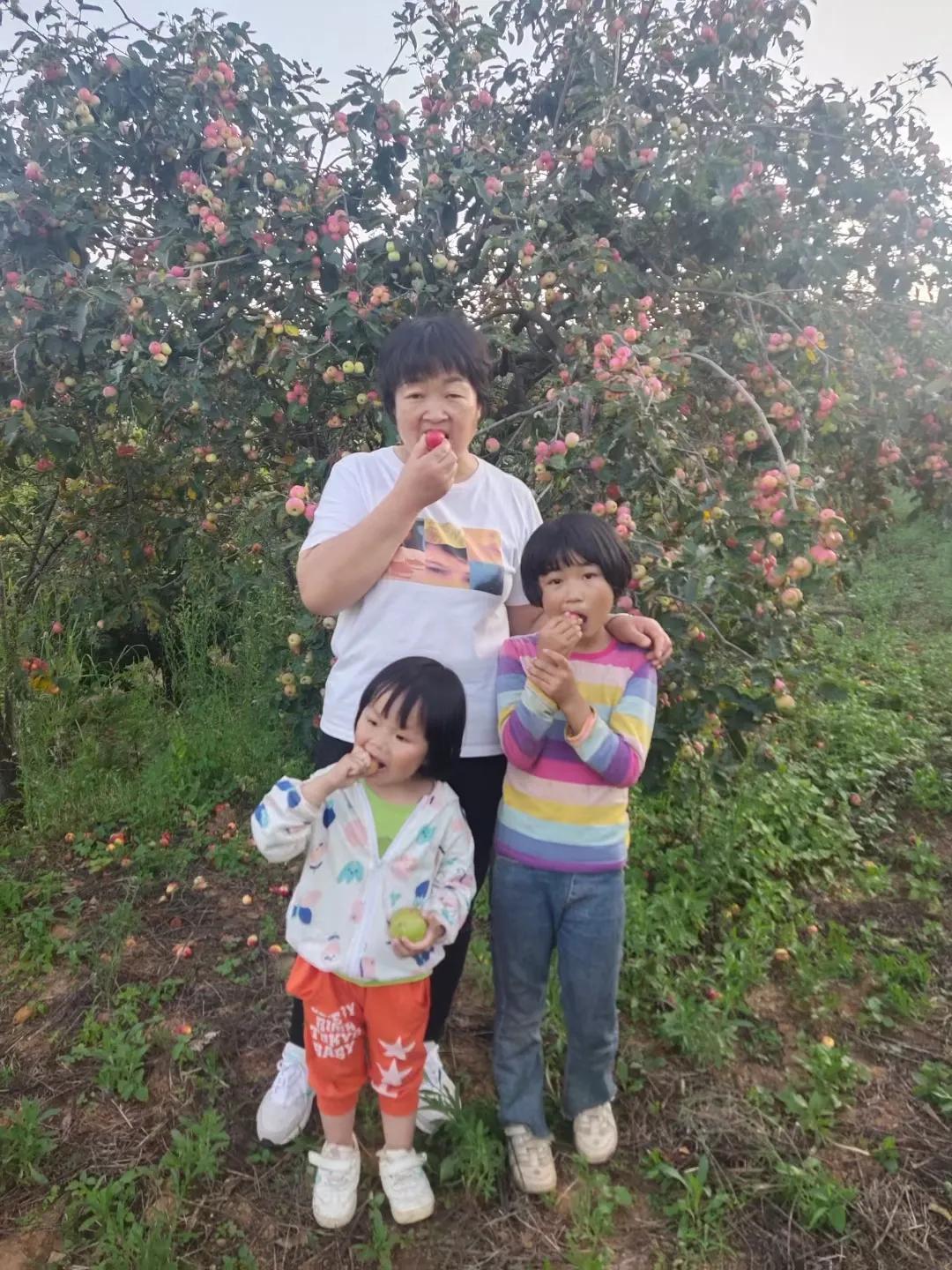 水果的酸是什么酸,水果的酸和醋的区别