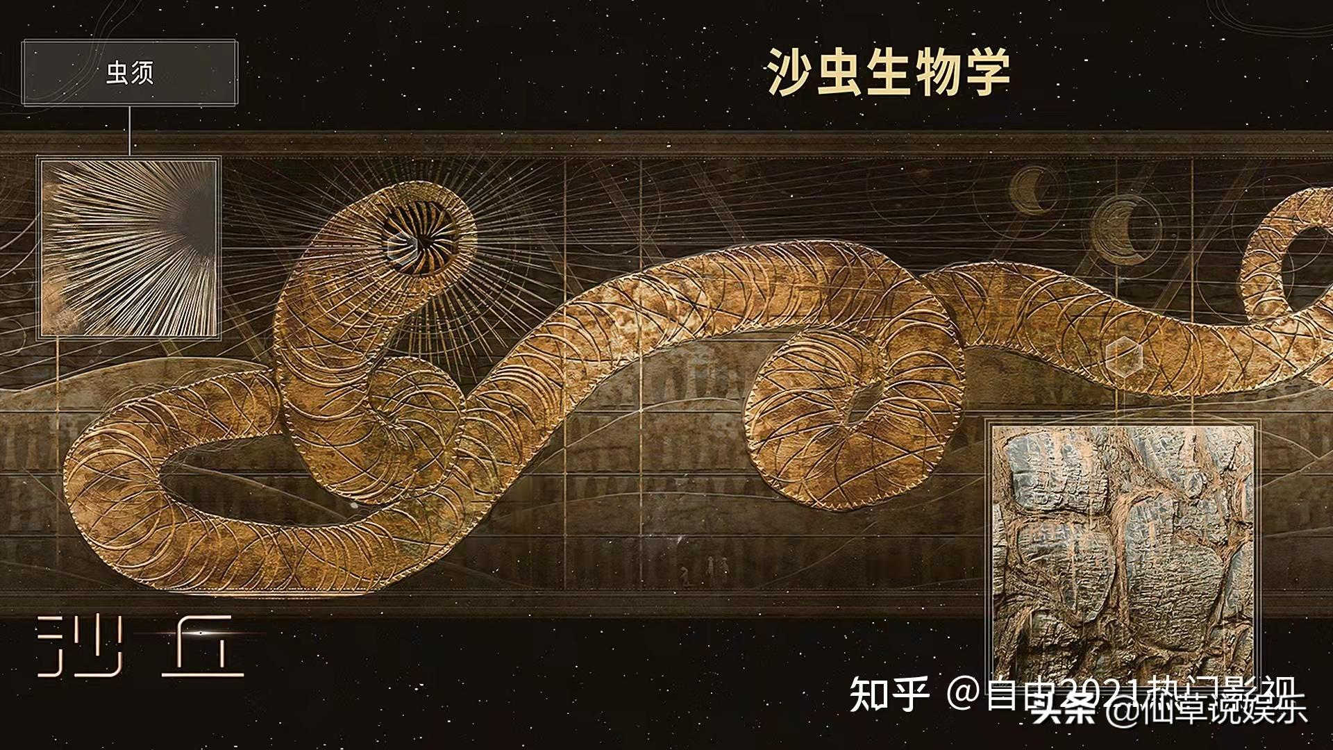 沙丘年度最佳烂片,沙丘被称为烂片的原因是什么