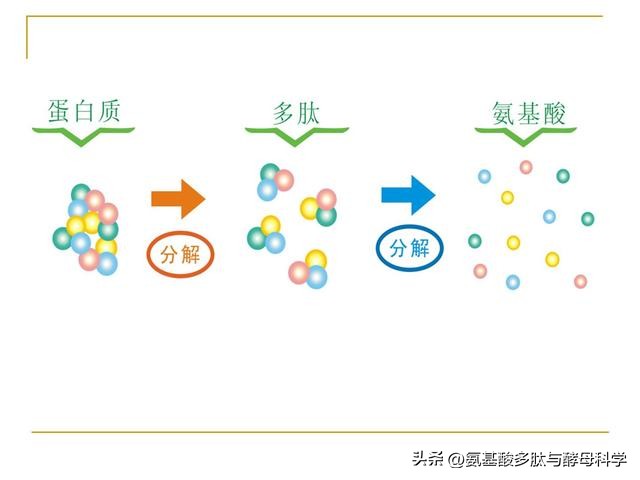 看破！氨基酸产品稳定性问题背后的真相，请谨慎选购